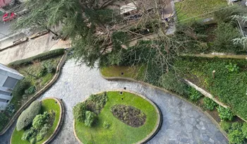 Courtyard garden with circular pathways and greenery